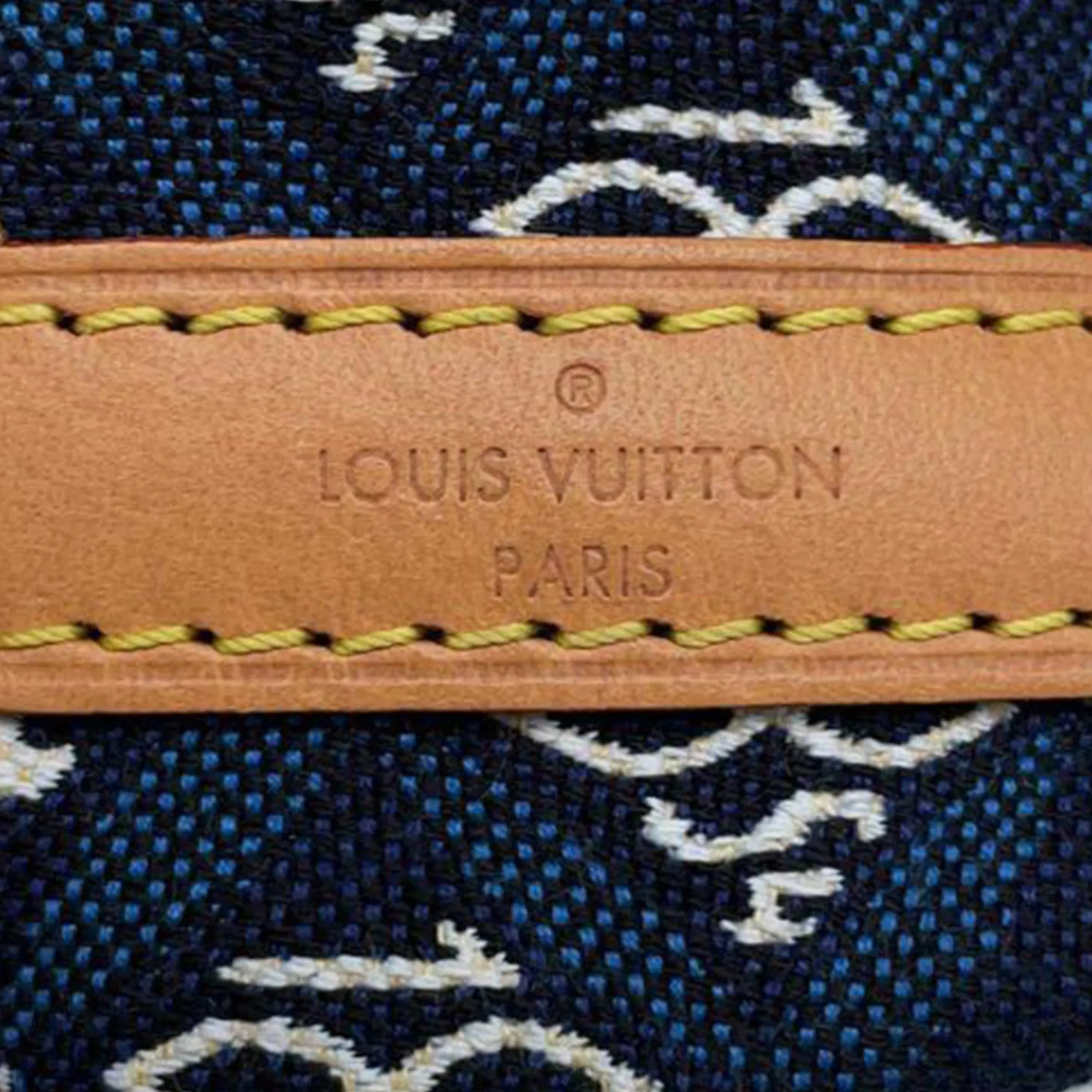 Blue Louis Vuitton Monogram Jacquard Since 1854 Nano Noe Bucket Bag